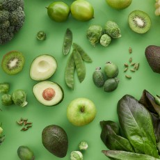 Vegan Test (Basic Nutrient Check)