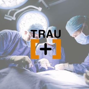 Traumatology Team Institut Traumes