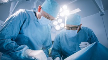 Ligament Reconstruction. Function and types of knee ligaments