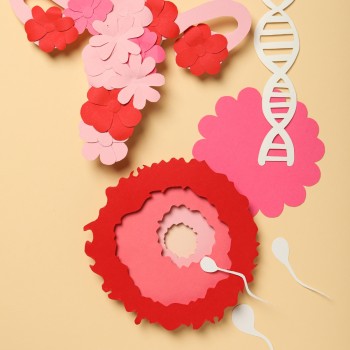 Anti-Müllerian Hormone (AMH) Test - Ovarian Reserve