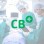 Traumatology Team of Clínica Creu Blanca