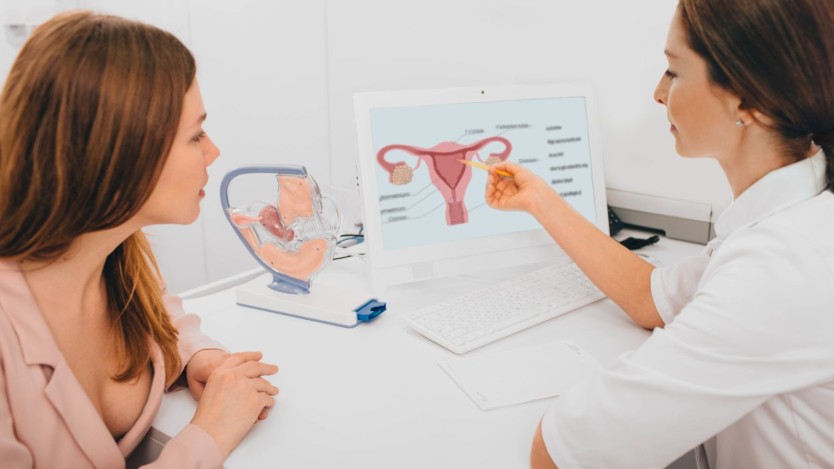 Gynaecological consultation