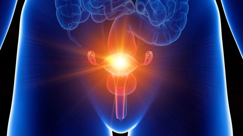 Surgical intervention to remove the womb