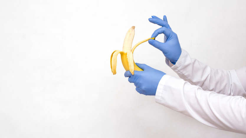 Phimosis in adults