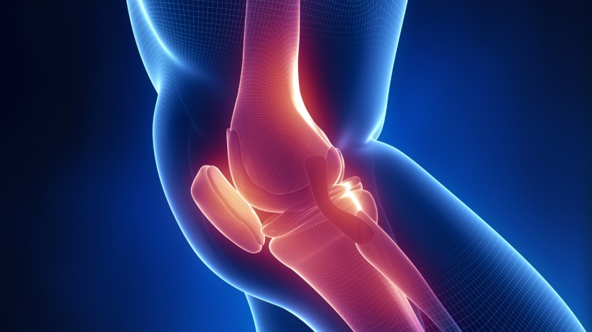 Postoperative period of ACL surgery