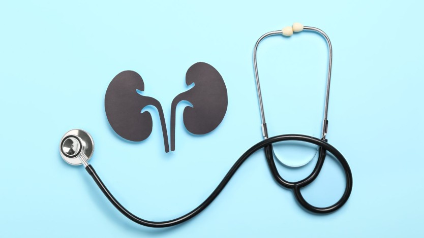 What is a kidney stone