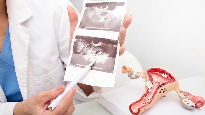 Private consultation with a gynaecologist