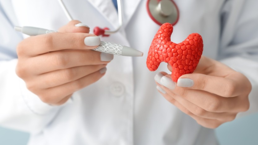 Small thyroid