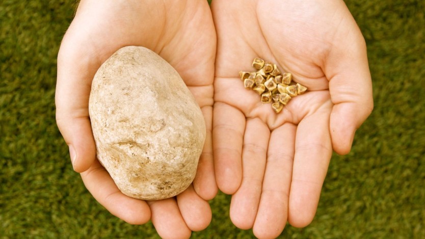 Gallstones: what they are, causes and treatments