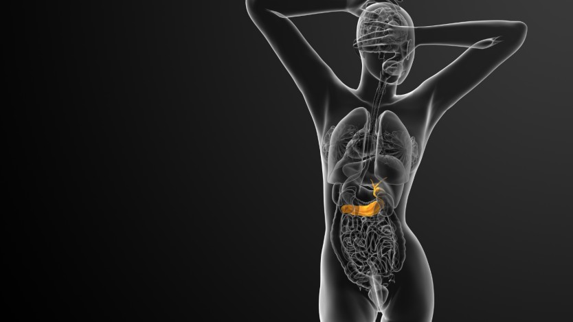 Recovery after gallbladder removal surgery