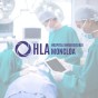 Traumatology Team at HLA Moncloa